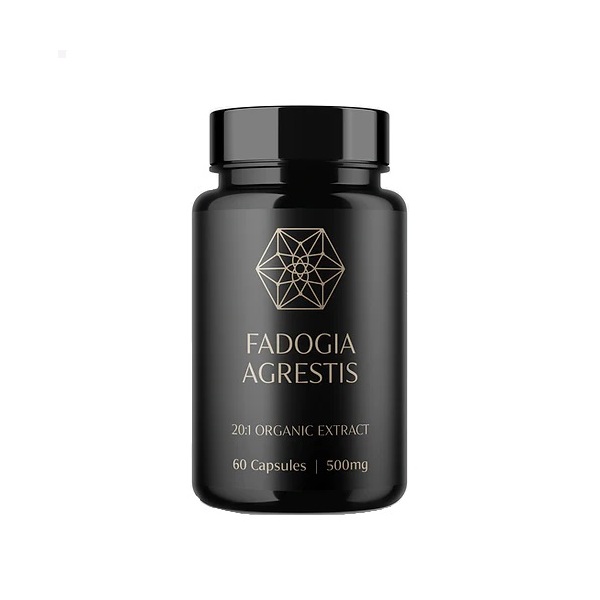 Nature's Body-Fadogia Agrestis 10:1 Premium 500mg 60C