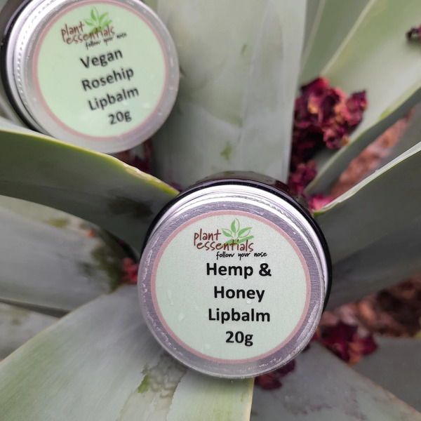 Plant Essentials-Hemp & Honey Lip Balm 20G