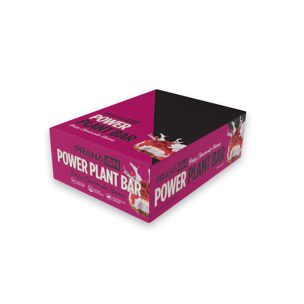 PranaOn-Power Plant Berry Cheesecake Bar 60G