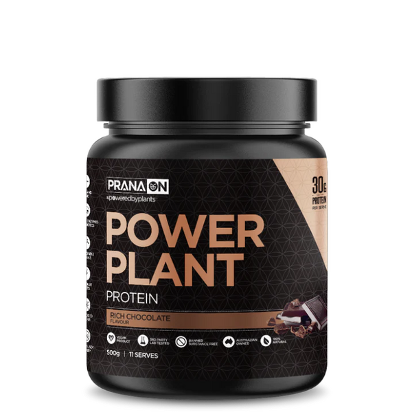 PranaOn-Power Plant Protein Rich Chocolate 500G