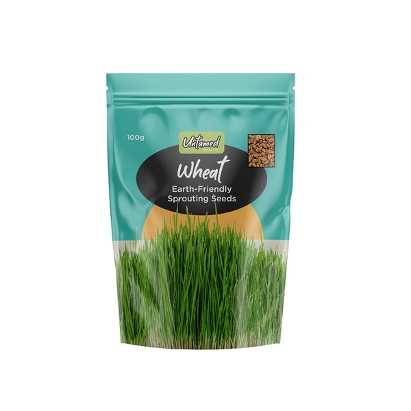 Untamed Health-Wheat Sprouting Seeds 100G