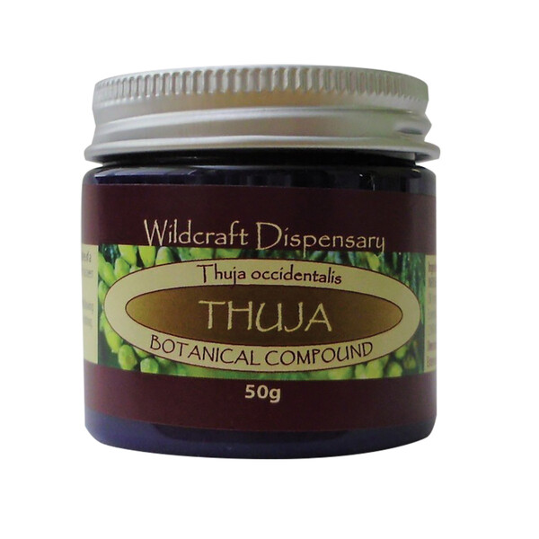 Wildcraft Dispensary-Thuja Herbal Ointment 50G