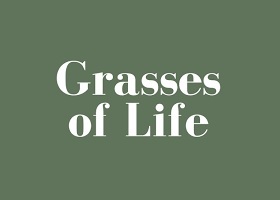 Grasses of Life