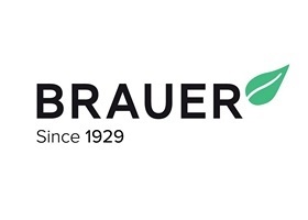 Brauer